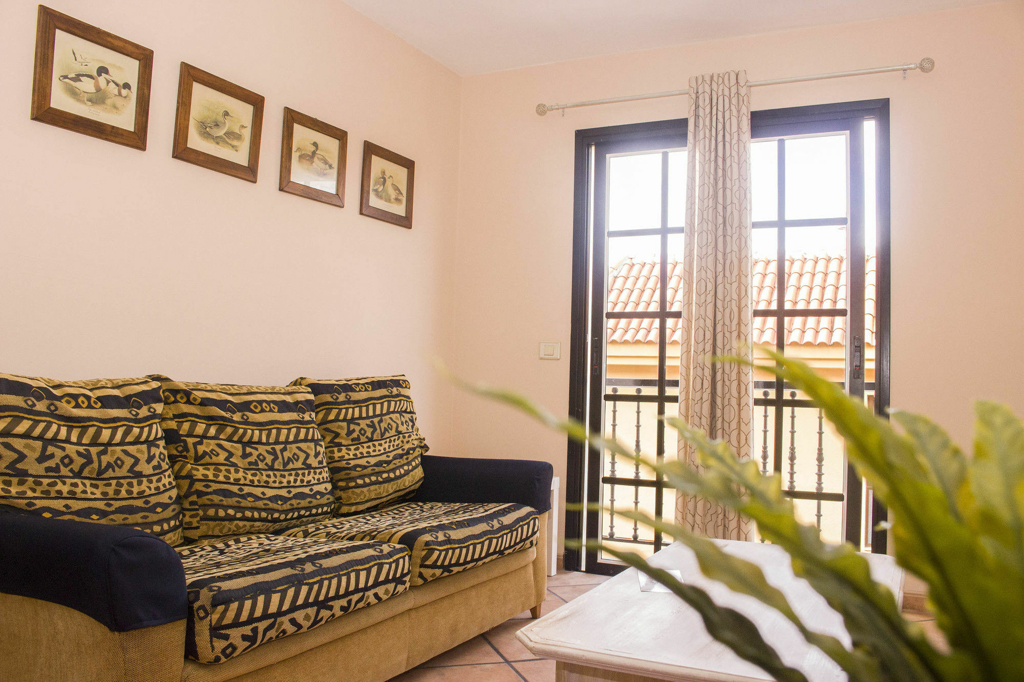 Apartments San Marcos イコー・デ・ロス・ビノス エクステリア 写真